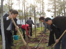 ������(ji��)ֲ��(sh��)