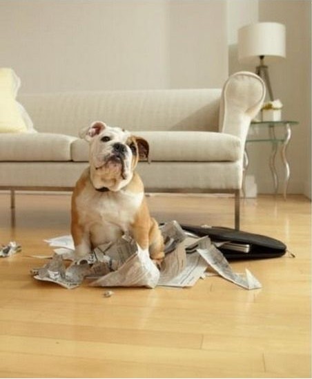 �������Д[�O��ԓ�M������һЩ���F�ء���Ʒ